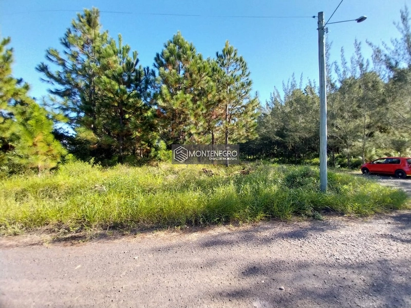 Lote de esquina.: 2ª foto da galeria de imagens do imóvel