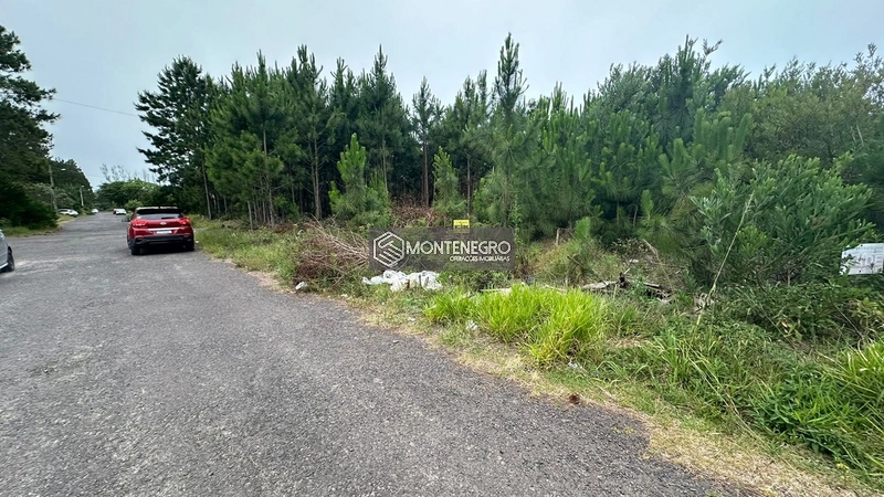 null: 5ª foto da galeria de imagens do imóvel