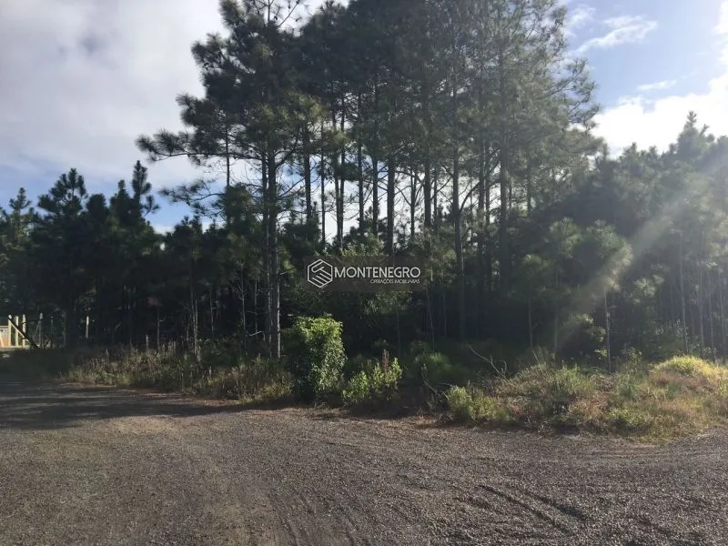 null: 4ª foto da galeria de imagens do imóvel