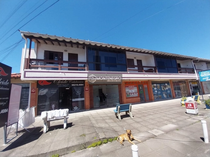 Apto. 1 dormitorio frente norte Rua andorinhas: 10ª foto da galeria de imagens do imóvel