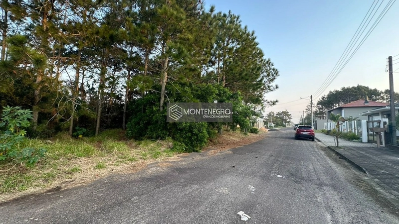 Rua margaridas: 1ª foto da galeria de imagens do imóvel