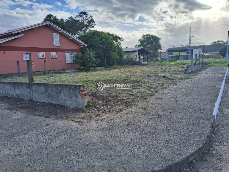 Rua da tulipa: 5ª foto da galeria de imagens do imóvel