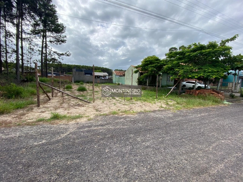 ÓTIMA OPORTUNIDADE TERRENO NA RUA BOCA DO LEÃO (EXCLUSIVO): 6ª foto da galeria de imagens do imóvel