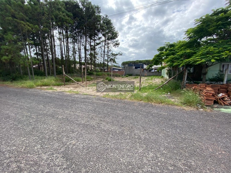 ÓTIMA OPORTUNIDADE TERRENO NA RUA BOCA DO LEÃO (EXCLUSIVO): 3ª foto da galeria de imagens do imóvel