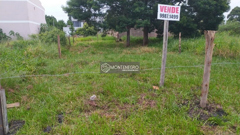 TERRENO 6 metros de frente: 1ª foto da galeria de imagens do imóvel