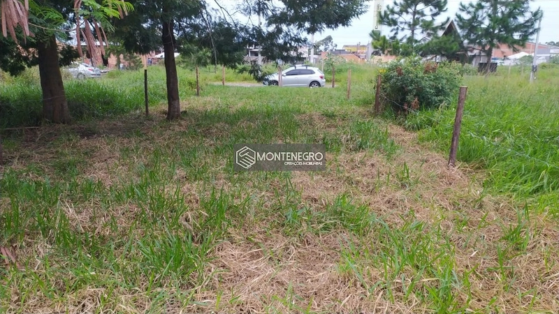 TERRENO 6 metros de frente: 2ª foto da galeria de imagens do imóvel