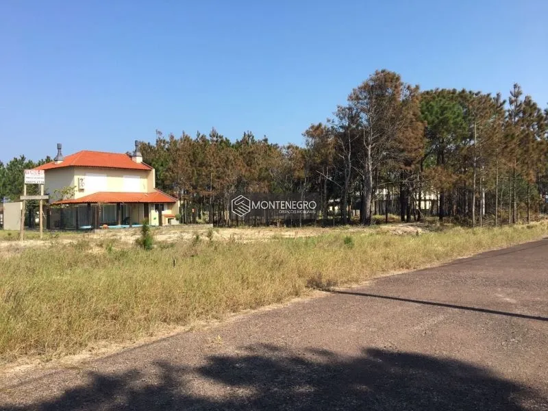 null: 4ª foto da galeria de imagens do imóvel