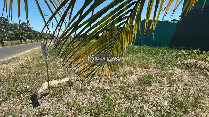 Terreno na Rua Antúrios: 1ª foto da galeria de imagens do imóvel
