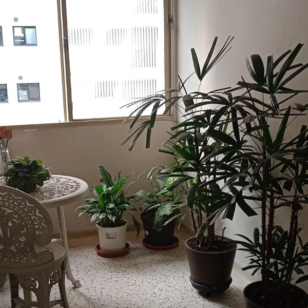 Duplex em Santana: 12ª foto da galeria de imagens do imóvel