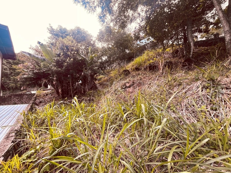Terreno de 380m² no Pantanal: 2ª foto da galeria de imagens do imóvel