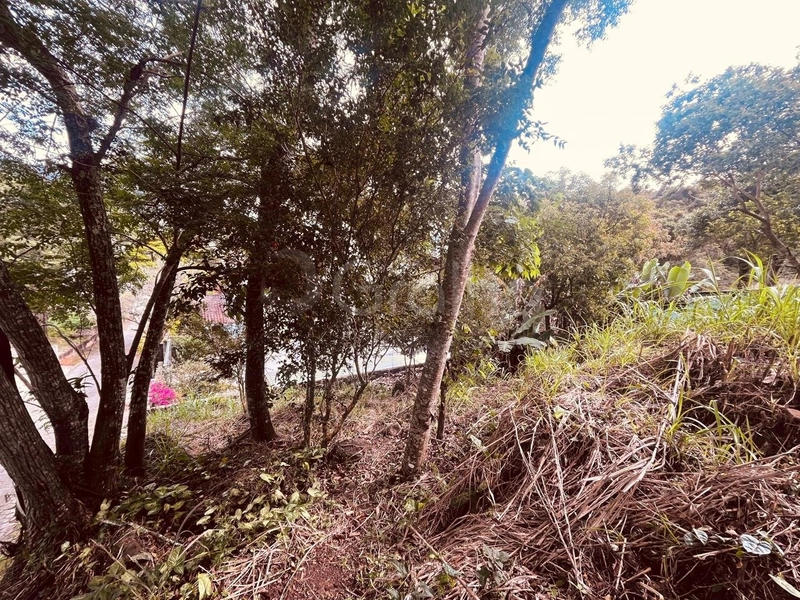 Terreno de 380m² no Pantanal: 9ª foto da galeria de imagens do imóvel