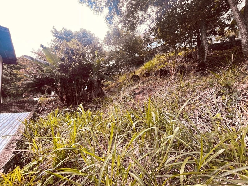 Terreno de 380m² no Pantanal: 8ª foto da galeria de imagens do imóvel