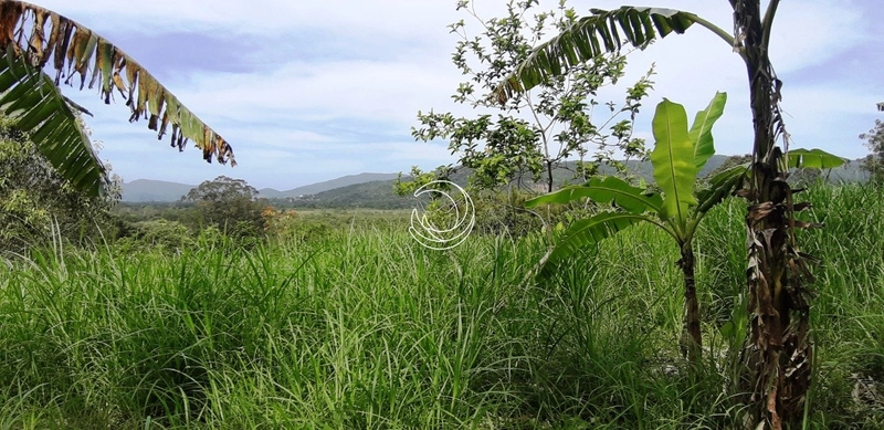 null: 12ª foto da galeria de imagens do imóvel