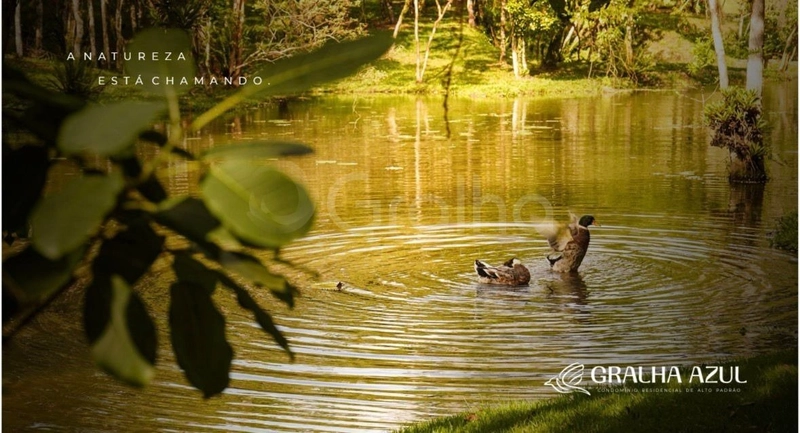 null: 3ª foto da galeria de imagens do imóvel