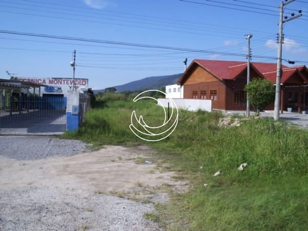 null: 3ª foto da galeria de imagens do imóvel