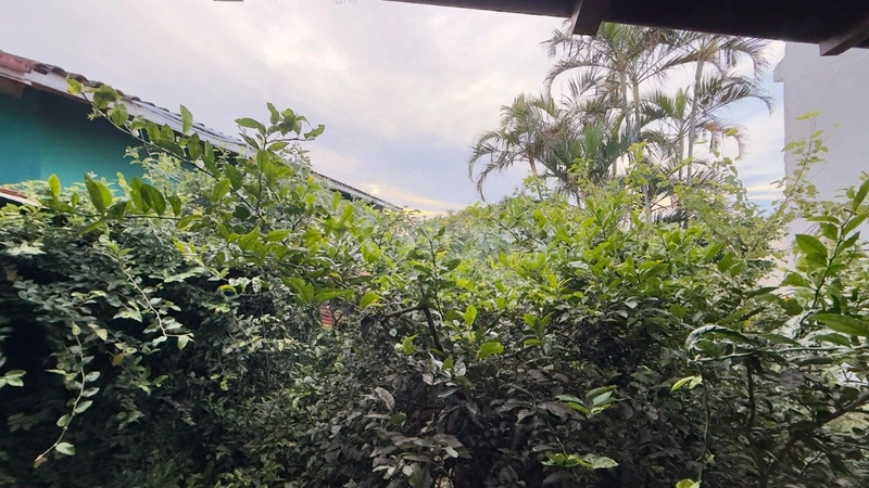 Terreno de 380m² na Agronômica: 4ª foto da galeria de imagens do imóvel