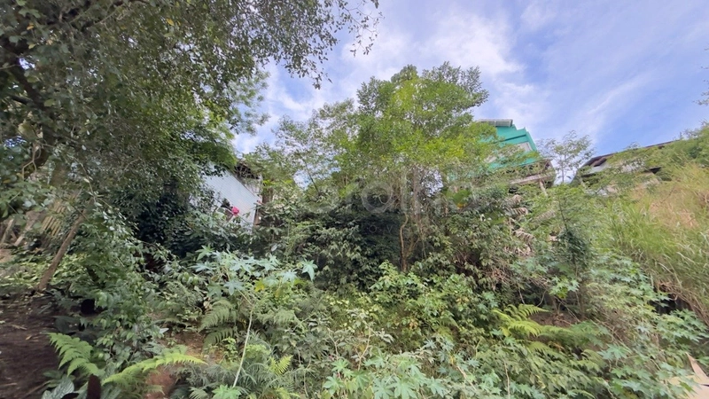 Terreno de 380m² na Agronômica: 2ª foto da galeria de imagens do imóvel