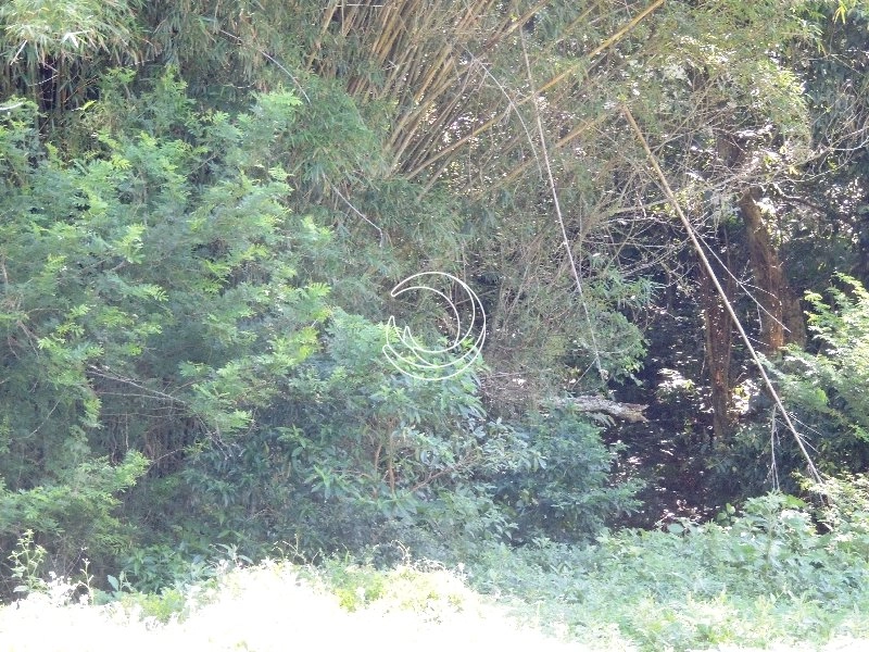 null: 8ª foto da galeria de imagens do imóvel