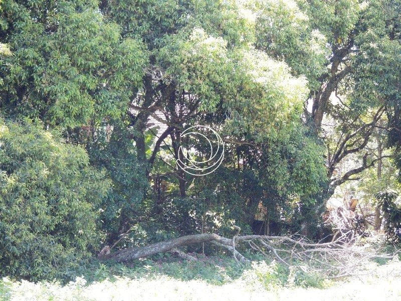 null: 7ª foto da galeria de imagens do imóvel