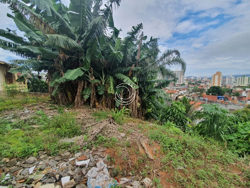 null: 3ª foto da galeria de imagens do imóvel