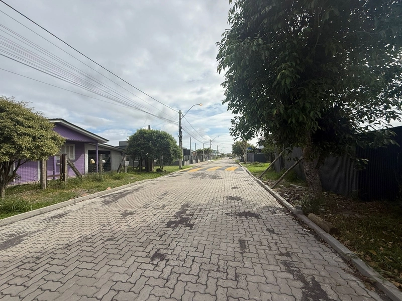 Terreno á Venda com Ótima Localização em Rua Pavimentada!: 1ª foto da galeria de imagens do imóvel