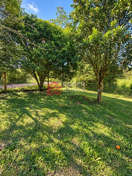 Sitio na Borussia: 5ª foto da galeria de imagens do imóvel