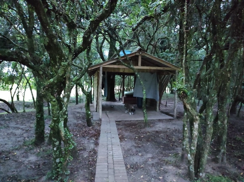 Lindo Sitio no Palmital: 18ª foto da galeria de imagens do imóvel