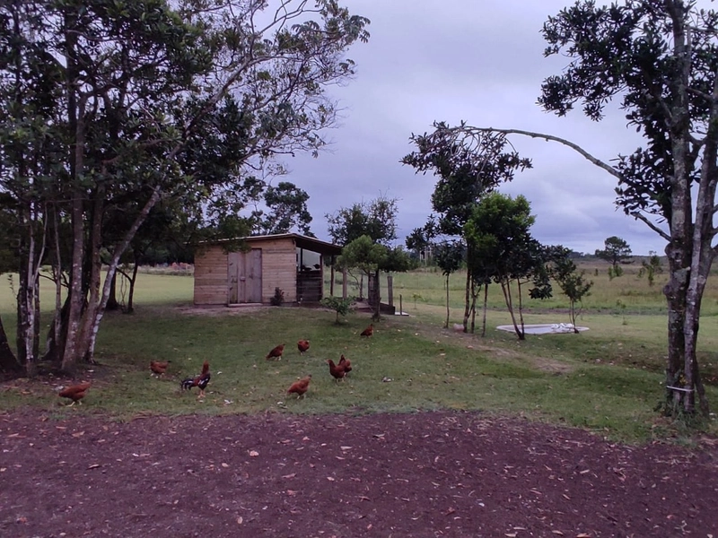 Lindo Sitio no Palmital: 1ª foto da galeria de imagens do imóvel