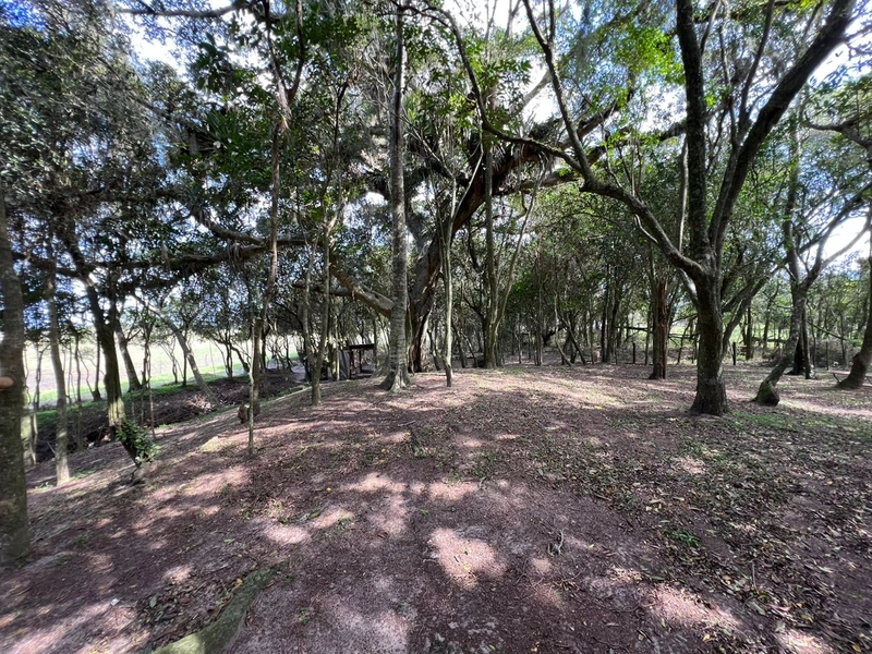 Lindo Sitio no Palmital: 9ª foto da galeria de imagens do imóvel