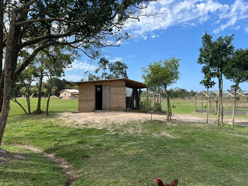Lindo Sitio no Palmital: 10ª foto da galeria de imagens do imóvel