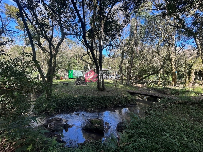 Encantadora área no Morro da Borússia: 21ª foto da galeria de imagens do imóvel