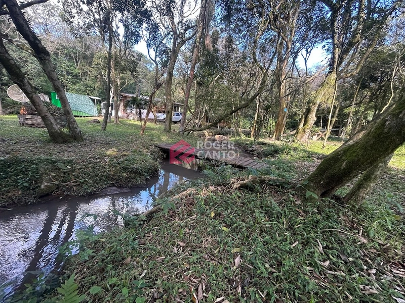 Encantadora área no Morro da Borússia: 20ª foto da galeria de imagens do imóvel