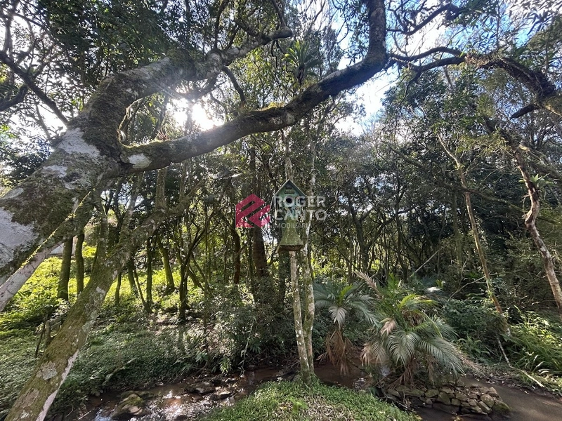 Encantadora área no Morro da Borússia: 6ª foto da galeria de imagens do imóvel