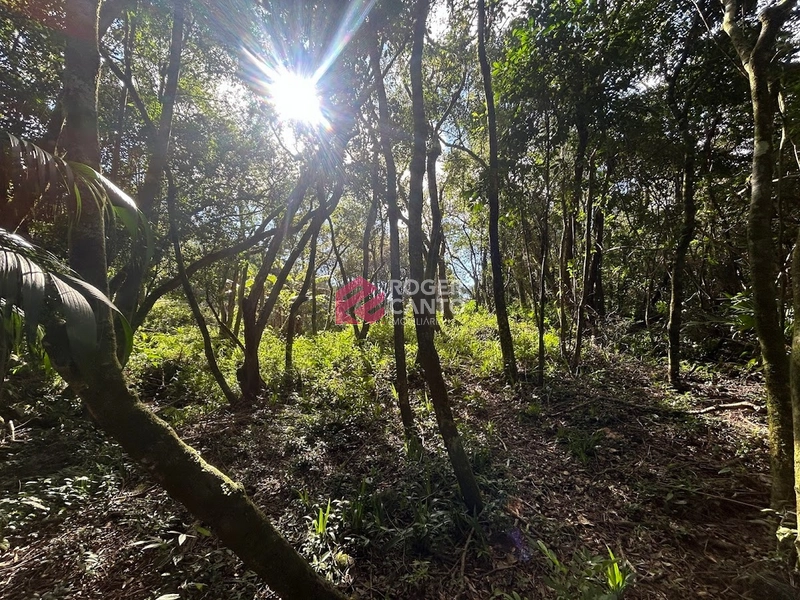 Encantadora área no Morro da Borússia: 17ª foto da galeria de imagens do imóvel