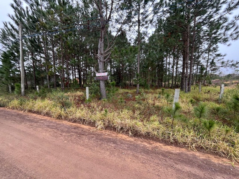null: 3ª foto da galeria de imagens do imóvel