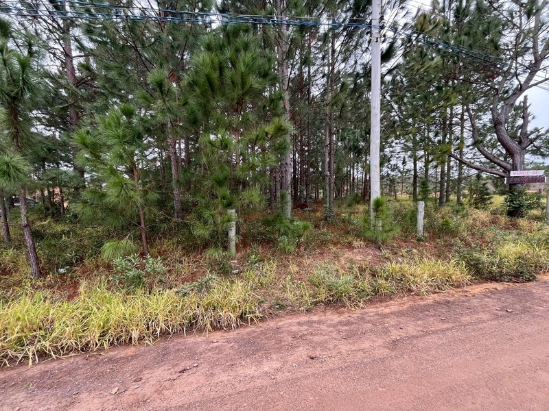 null: 2ª foto da galeria de imagens do imóvel