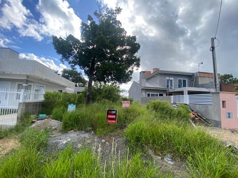 Terreno Residencial a Venda: 5ª foto da galeria de imagens do imóvel