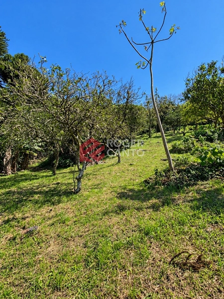 COM VISTA PARA LAGOA: 6ª foto da galeria de imagens do imóvel