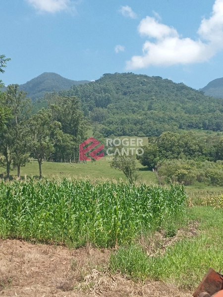 Sitio em Maquine: 5ª foto da galeria de imagens do imóvel