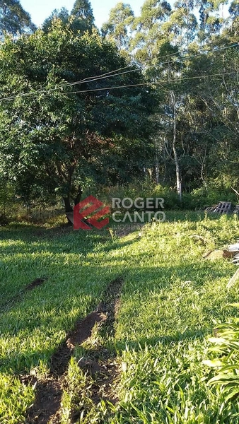 TERRENO BORUSSIA: 6ª foto da galeria de imagens do imóvel