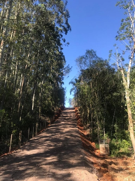 Excelente área no Morro da Borússia próxima ao Restaurante Dodô: 7ª foto da galeria de imagens do imóvel
