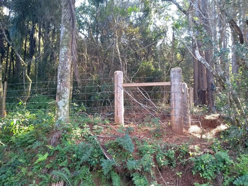 Excelente área no Morro da Borússia próxima ao Restaurante Dodô: 3ª foto da galeria de imagens do imóvel