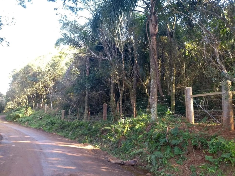 Excelente área no Morro da Borússia próxima ao Restaurante Dodô: 13ª foto da galeria de imagens do imóvel
