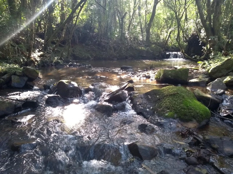 Excelente área no Morro da Borússia próxima ao Restaurante Dodô: 4ª foto da galeria de imagens do imóvel