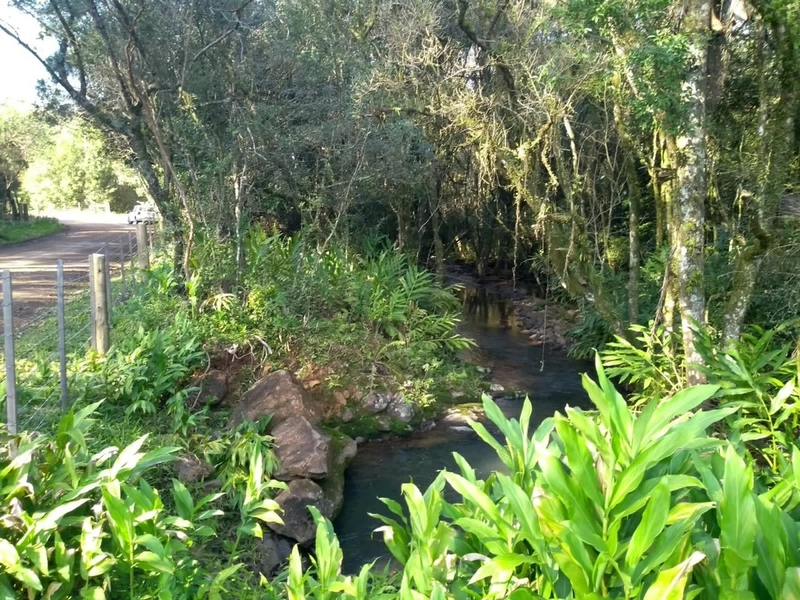 Excelente área no Morro da Borússia próxima ao Restaurante Dodô: 1ª foto da galeria de imagens do imóvel