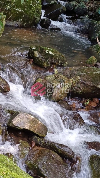 LINDO SITIO: 38ª foto da galeria de imagens do imóvel