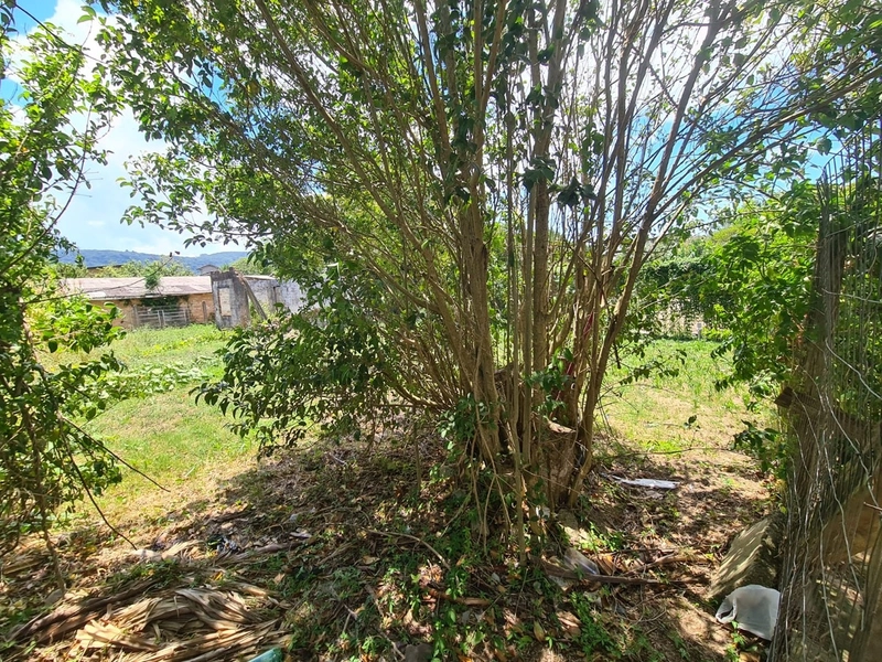 Terreno Residencial: 11ª foto da galeria de imagens do imóvel