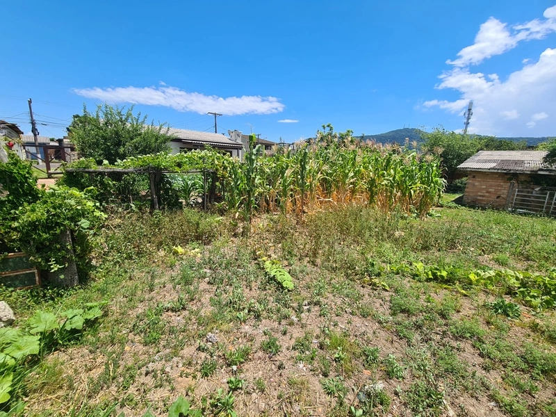 Terreno Residencial: 9ª foto da galeria de imagens do imóvel