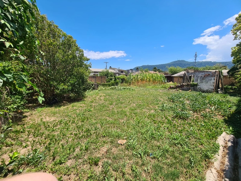 Terreno Residencial: 15ª foto da galeria de imagens do imóvel