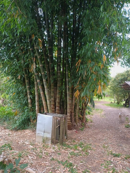 Sitio de lazer.: 4ª foto da galeria de imagens do imóvel